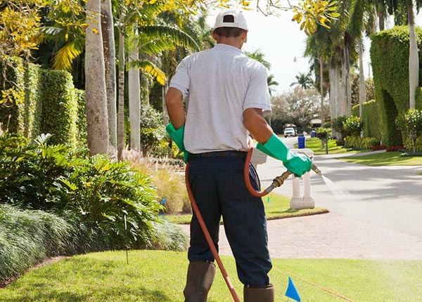 About Mammoth WV Pest Control